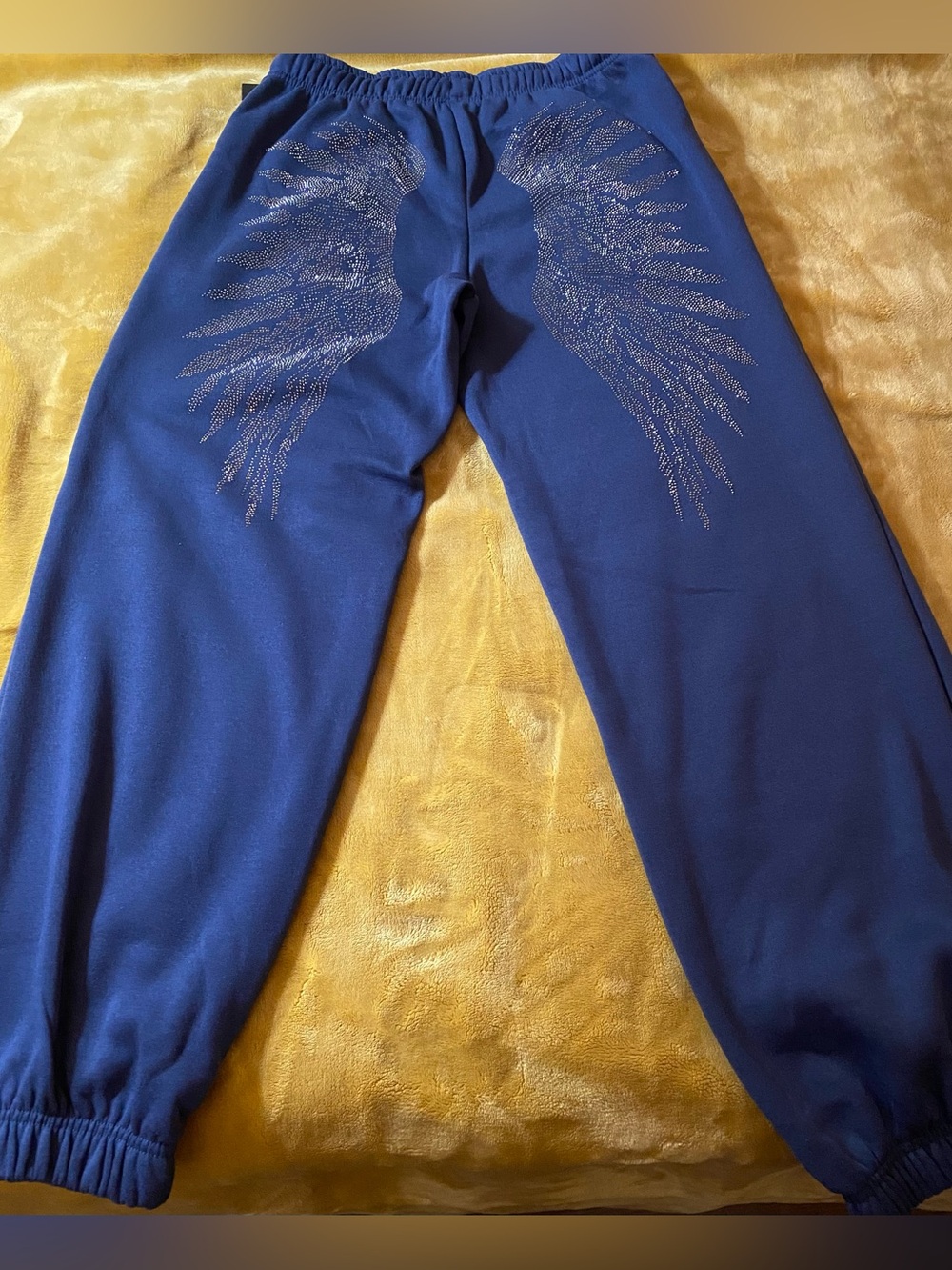 NEW Sparkle Wing Sweatpants - Blue